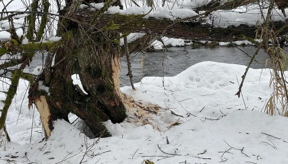 © DAV Fürth, Yoga-Gruppe; Fotograf: Burkhard Rott