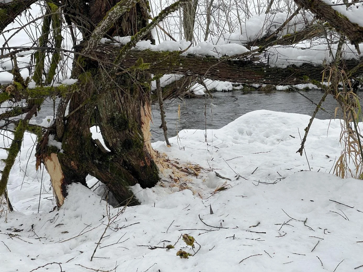 © DAV Fürth, Yoga-Gruppe; Fotograf: Burkhard Rott