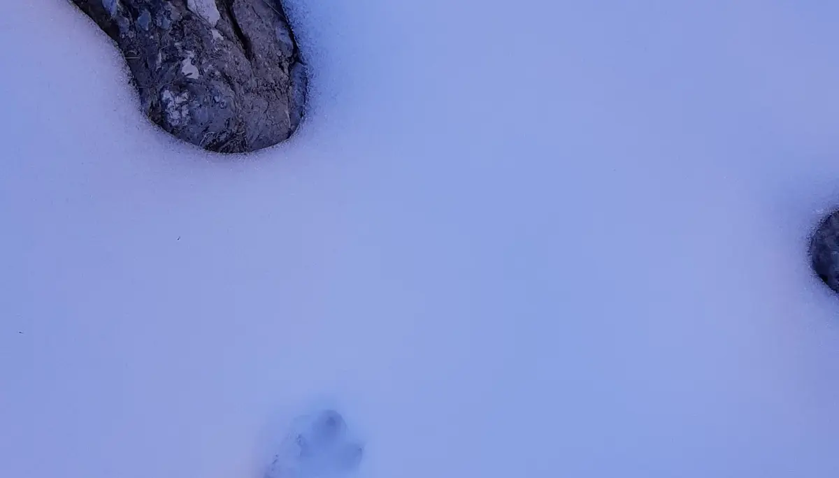 © DAV Fürth, FFF