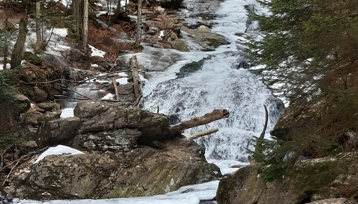 © DAV Fürth, Flotte Fürther Füße