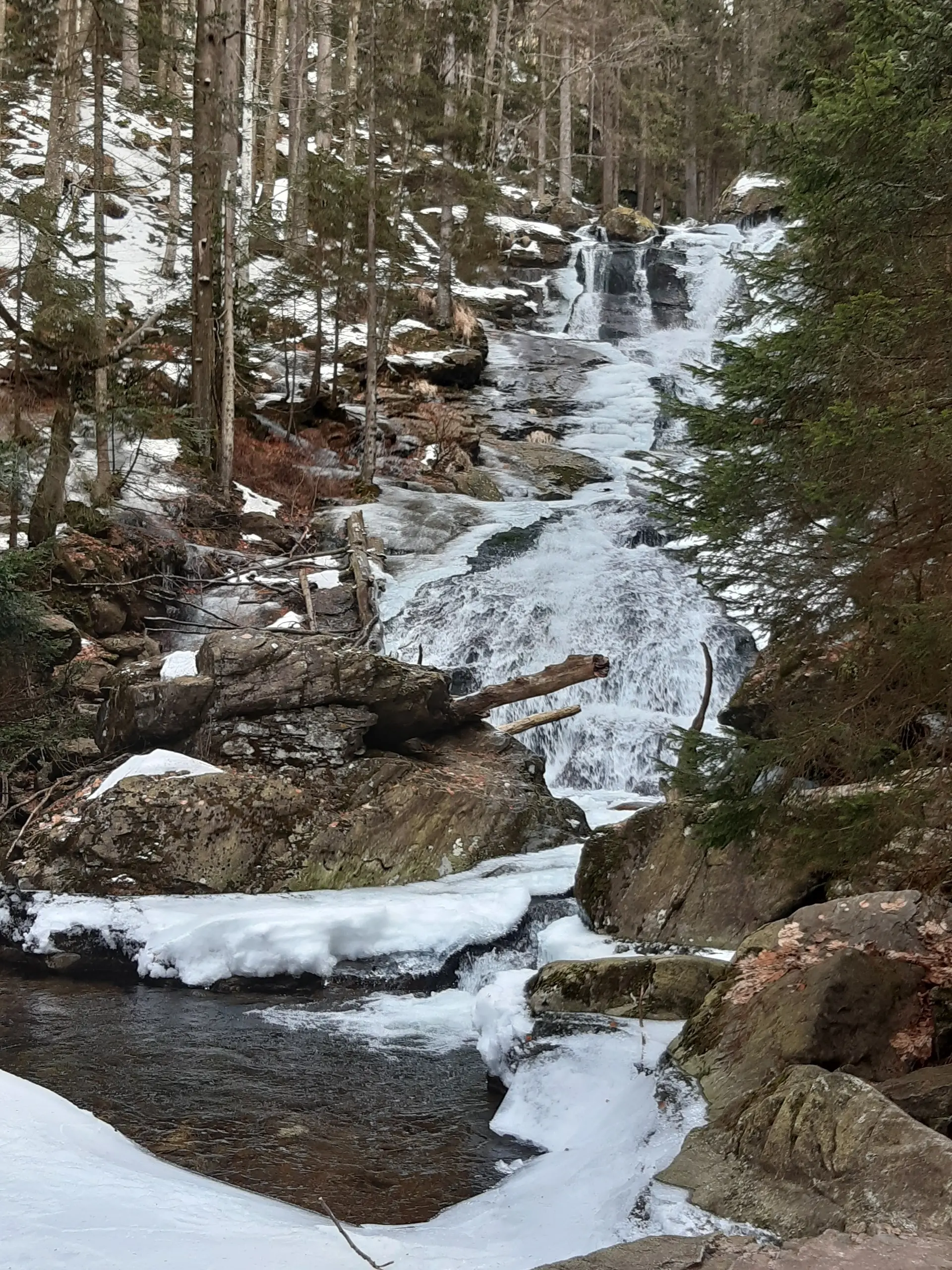 © DAV Fürth, Flotte Fürther Füße