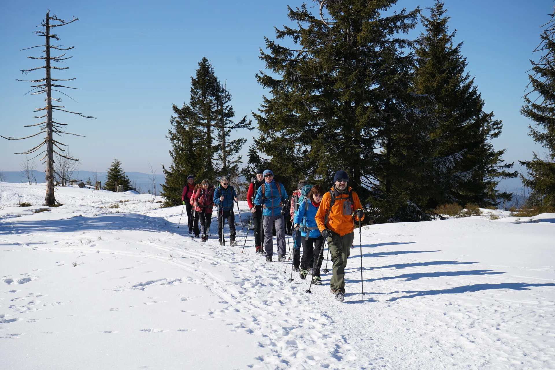 © DAV Fürth, Flotte Fürther Füße