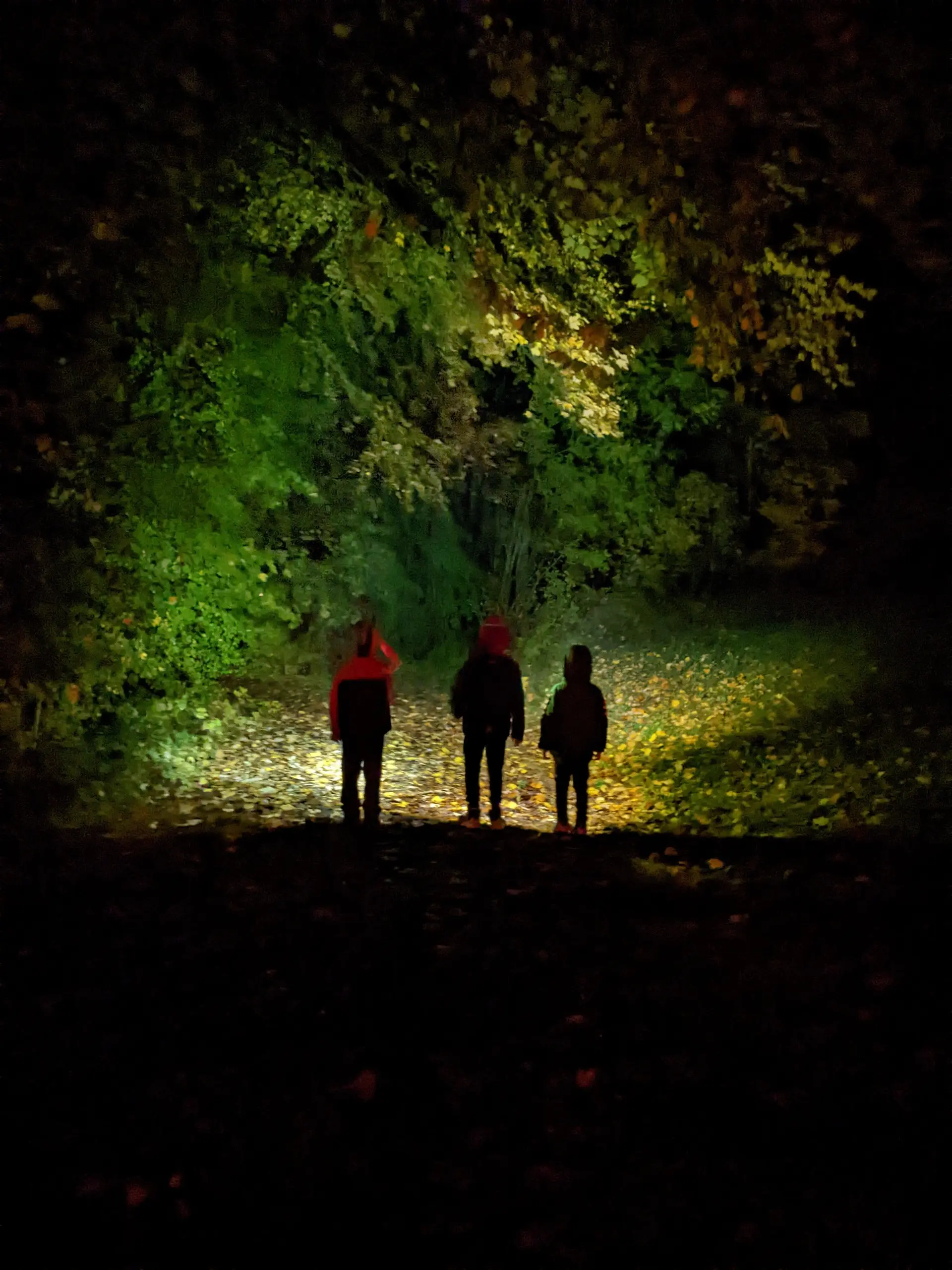 © DAV Fürth, Familiengruppe