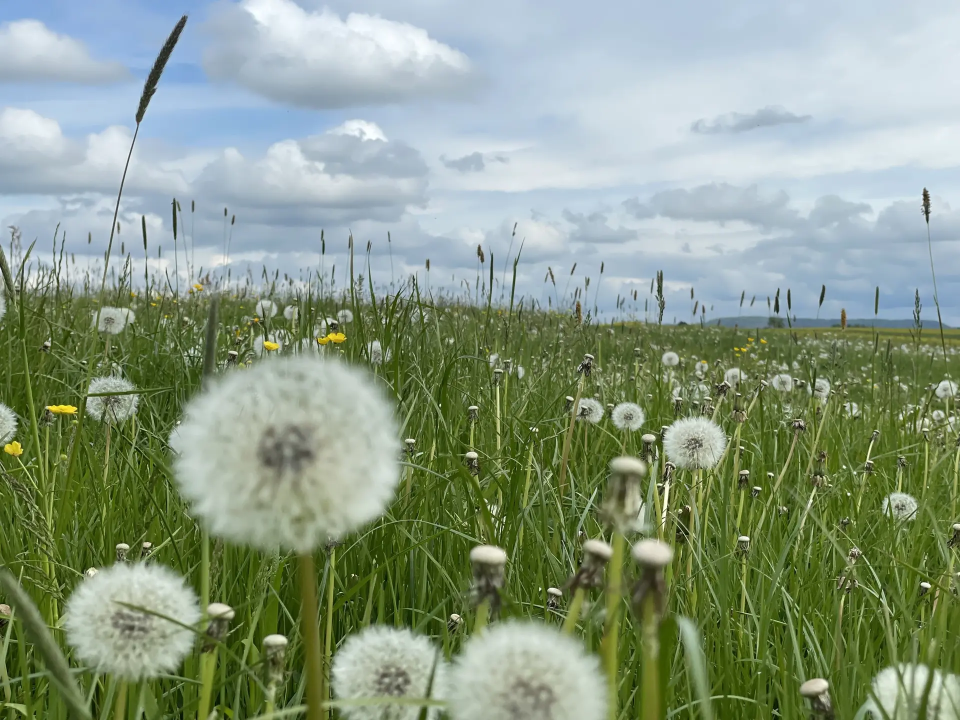 © DAV Fürth, Doris Stadlbauer