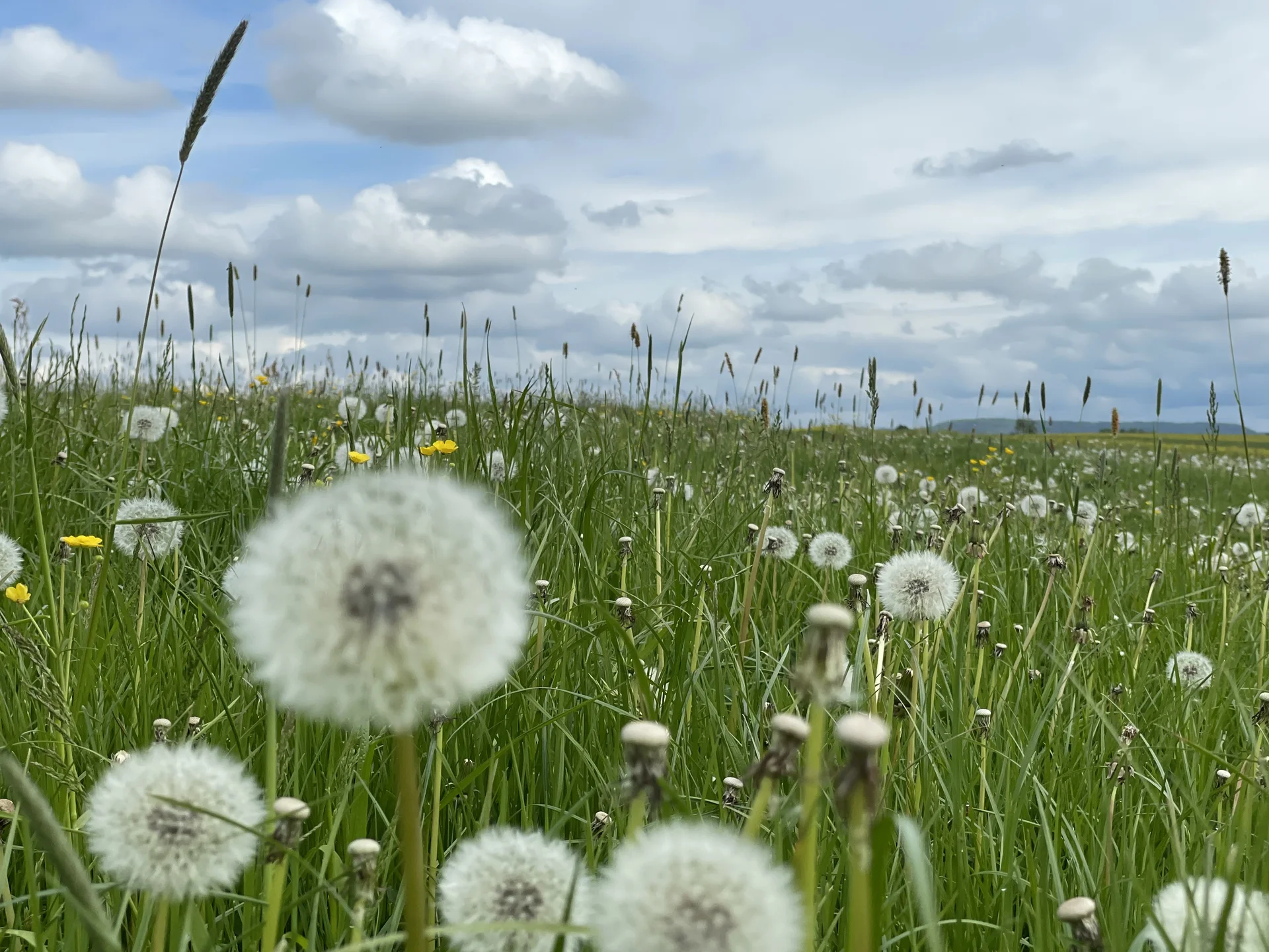 © DAV Fürth, Doris Stadlbauer