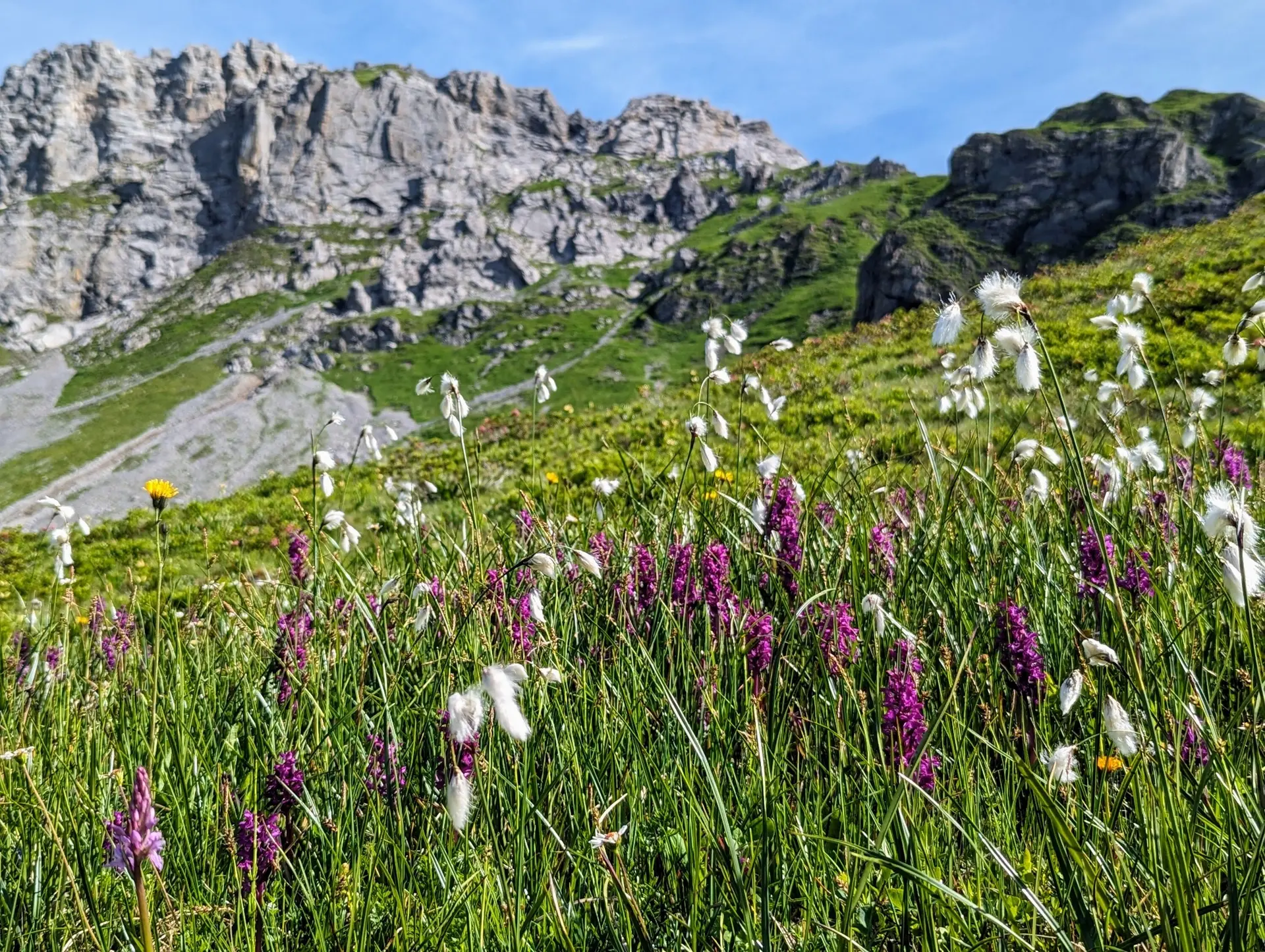 © DAV Fürth, Alexandra Walicki