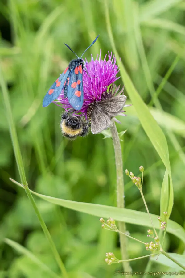 © DAV Fürth, Alexandra Walicki